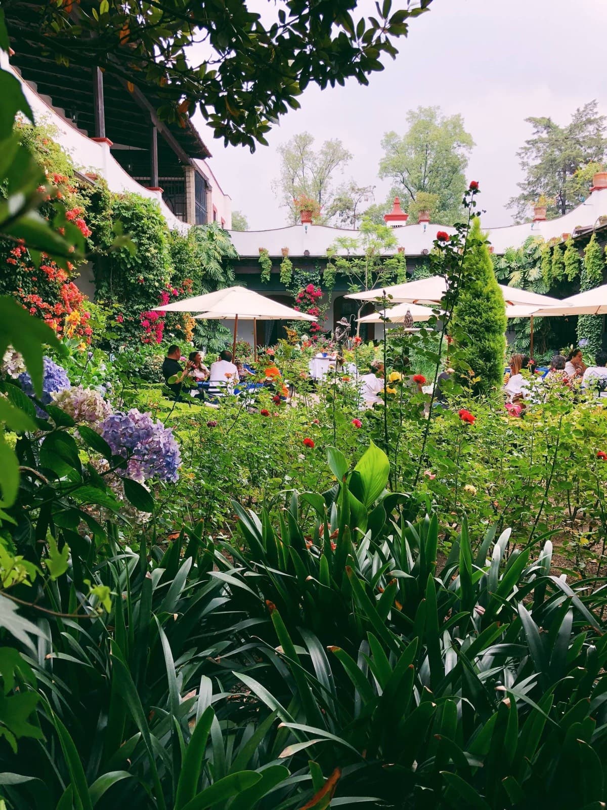 A courtyard garden with flowers and guests under parasols